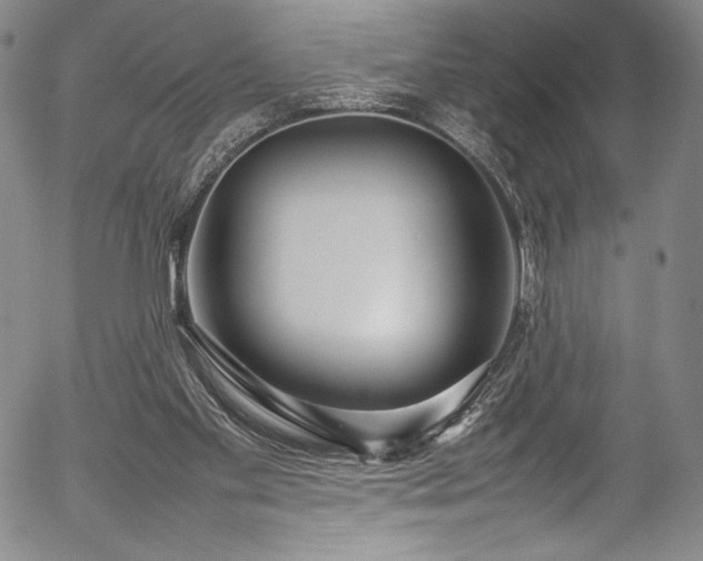 X0000054390109200508011303