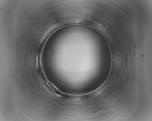 X0000054390110200508011303