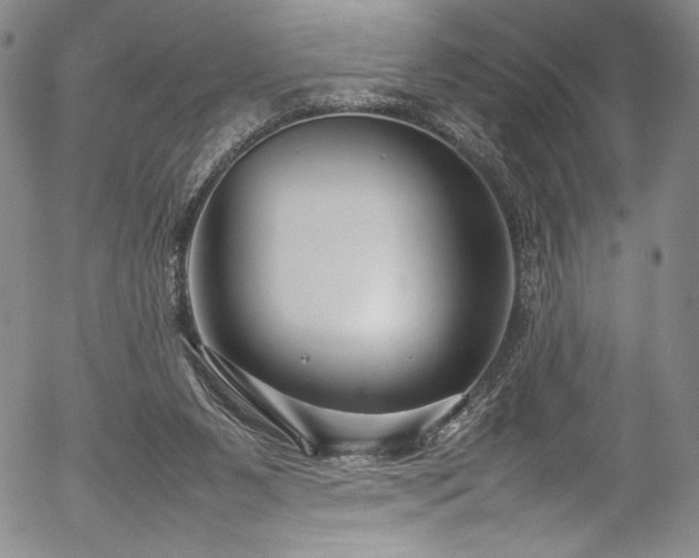 X0000054390111200508011303