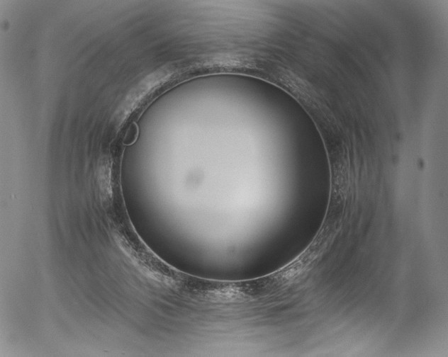 X0000054390112200508011303