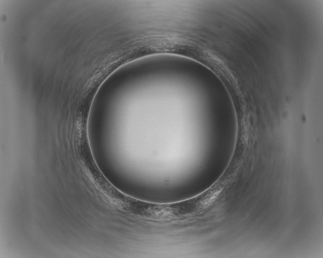 X0000054390113200508011303