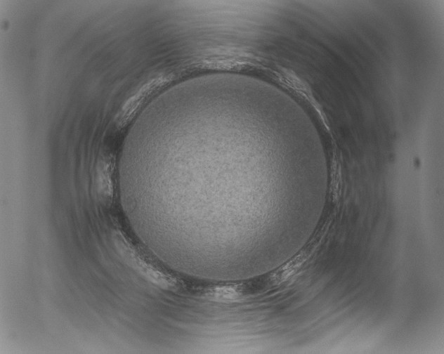 X0000054390114200508011303