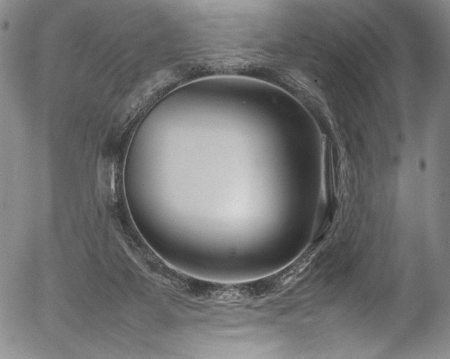 X0000054390115200508011303