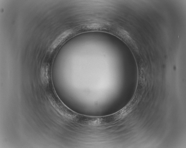 X0000054390116200508011303