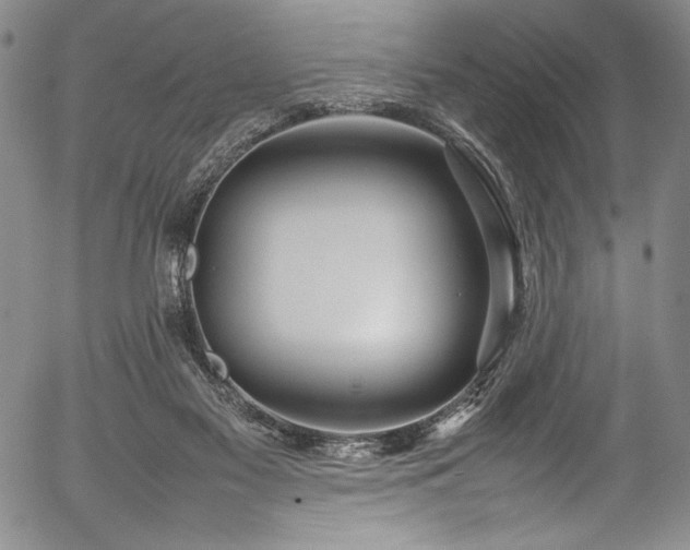 X0000054390117200508011303