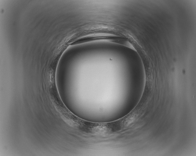 X0000054390119200508011303