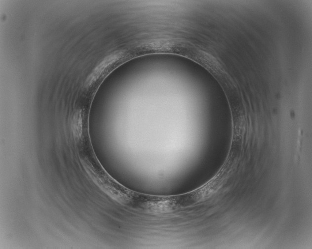 X0000054390120200508011303