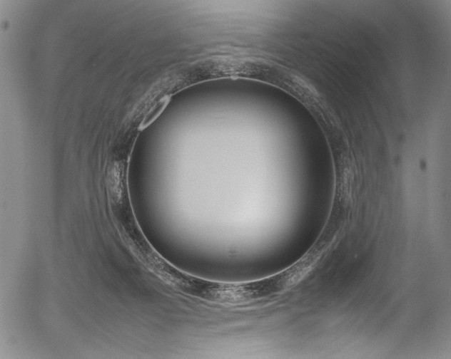 X0000054390121200508011303