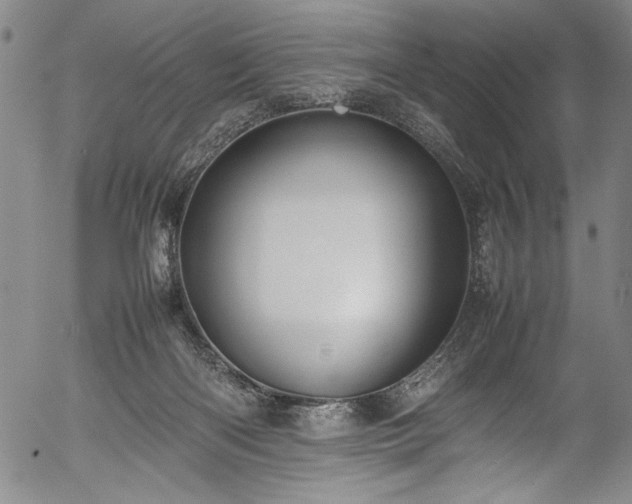 X0000054390122200508011303