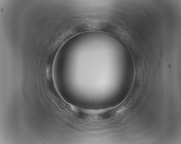 X0000054390123200508011303