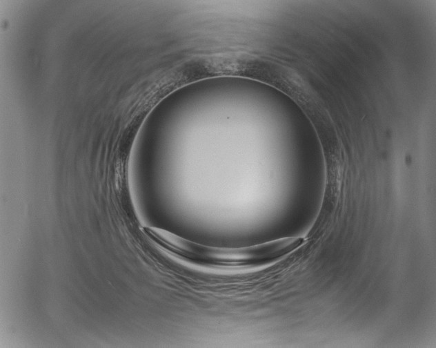 X0000054390125200508011303