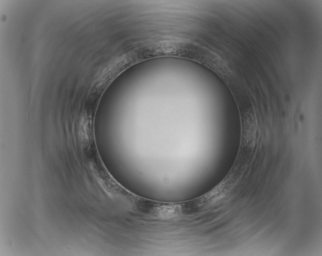 X0000054390126200508011303