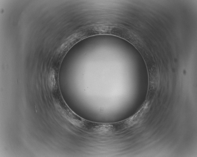 X0000054390128200508011303