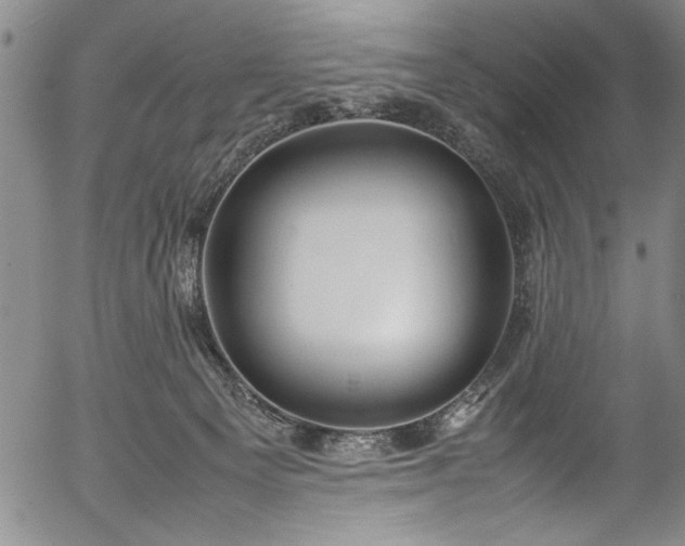 X0000054390129200508011303