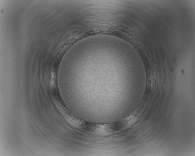 X0000054390130200508011303