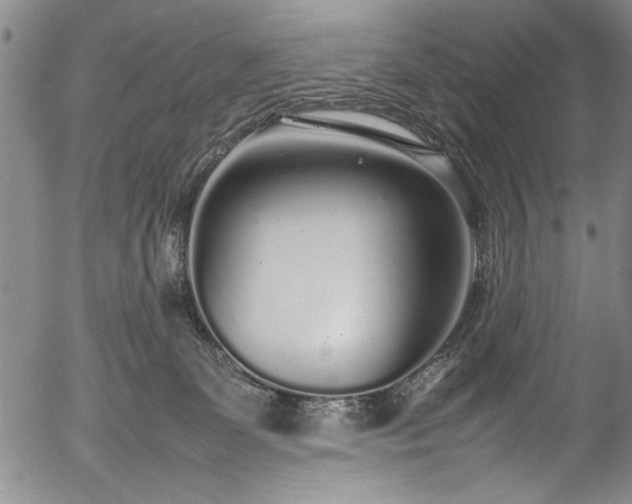 X0000054390131200508011303