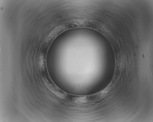 X0000054390132200508011303