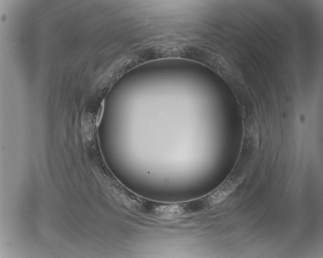 X0000054390133200508011303