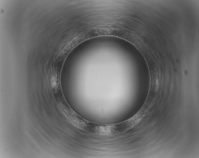 X0000054390134200508011303