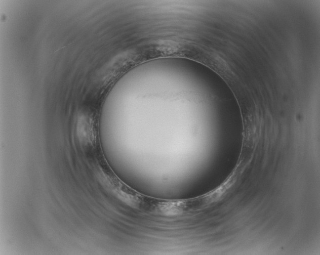 X0000054390136200508011303