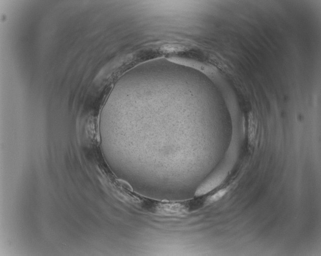 X0000054390137200508011303