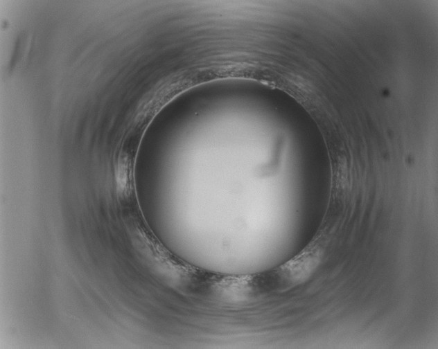 X0000054390138200508011303