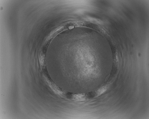 X0000054390139200508011303