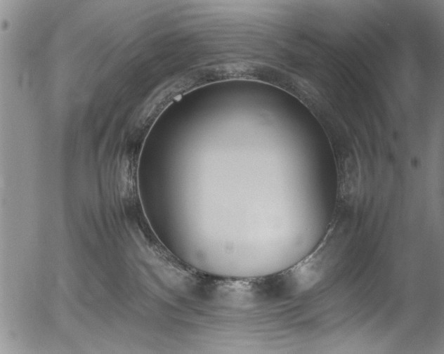 X0000054390140200508011303