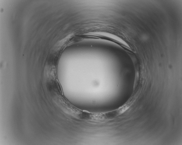 X0000054390141200508011303