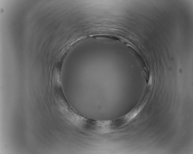 X0000054390143200508011303