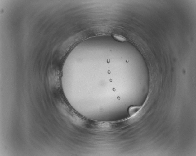 X0000054390144200508011303