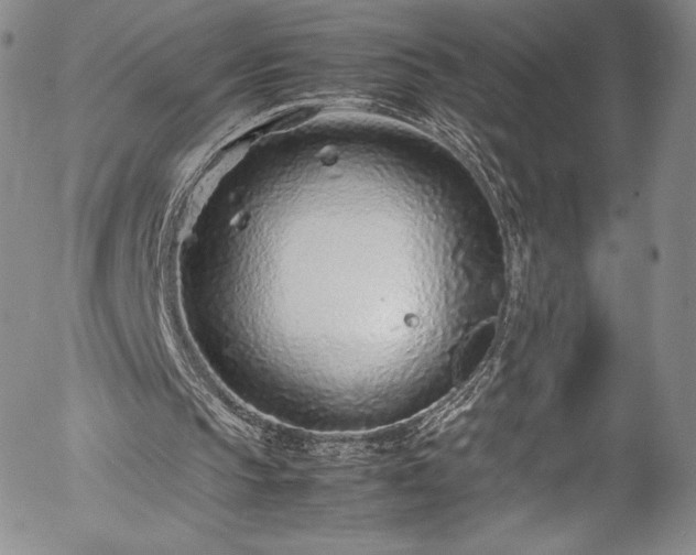 X0000054390145200508011302