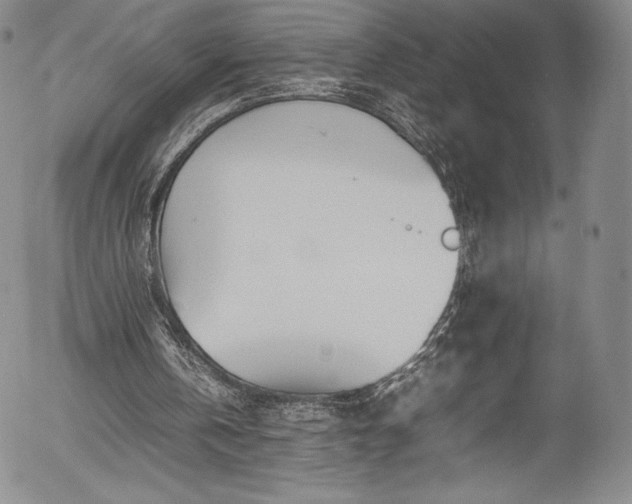 X0000054390146200508011302