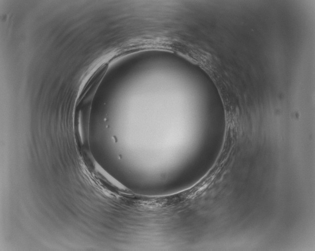 X0000054390148200508011302