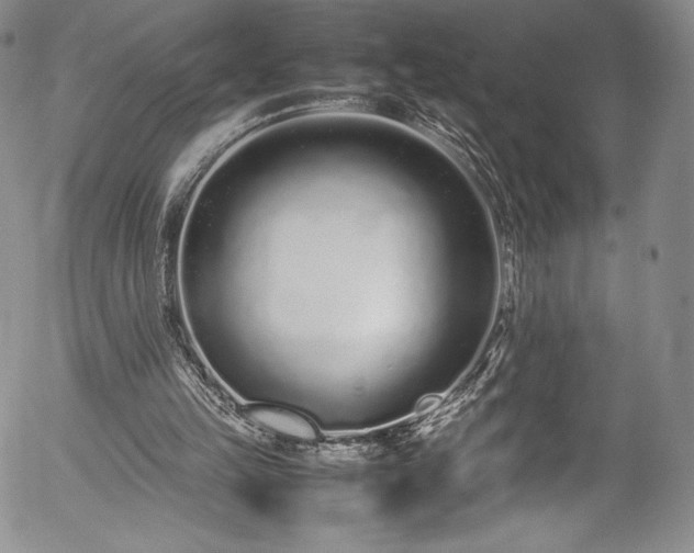 X0000054390149200508011302