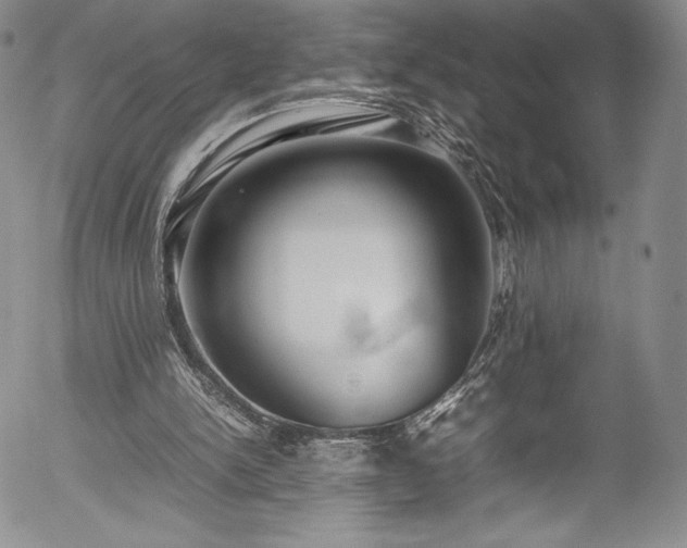 X0000054390150200508011302