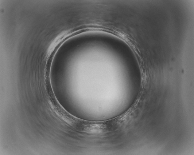 X0000054390151200508011302