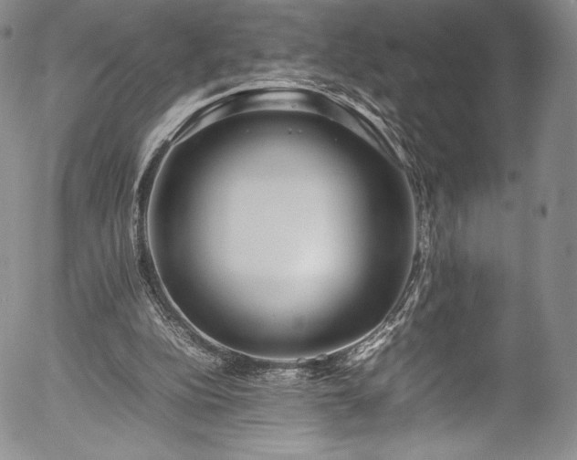 X0000054390152200508011302