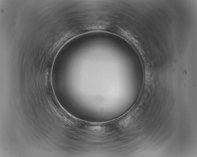 X0000054390153200508011302