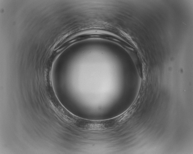 X0000054390154200508011302