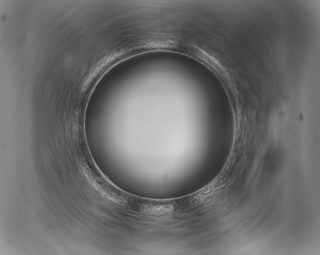 X0000054390155200508011302