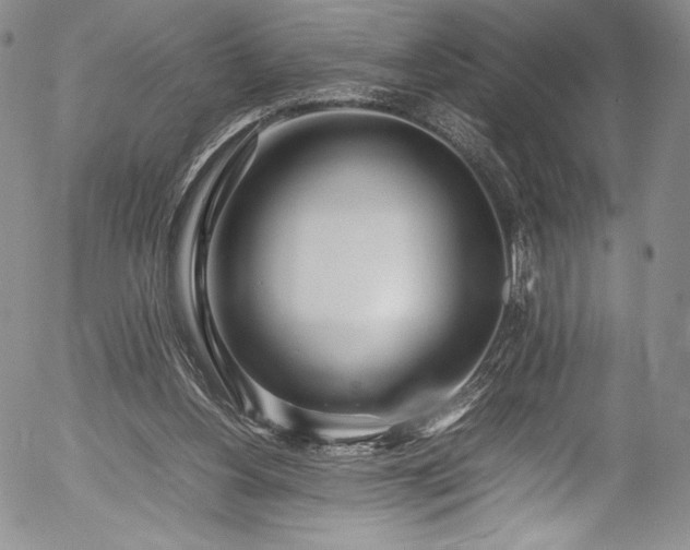 X0000054390156200508011302