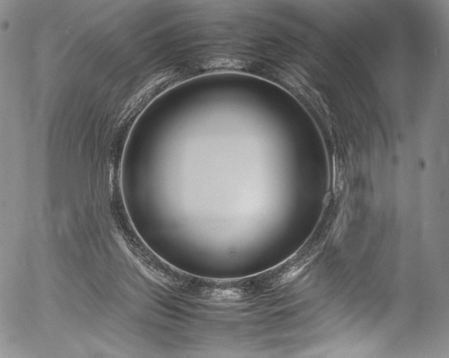 X0000054390157200508011302