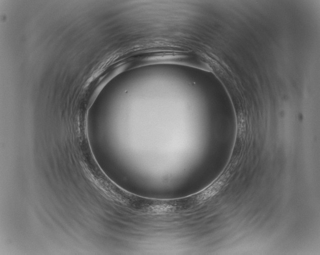 X0000054390158200508011302