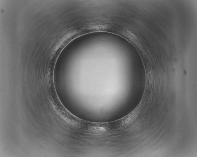 X0000054390159200508011302