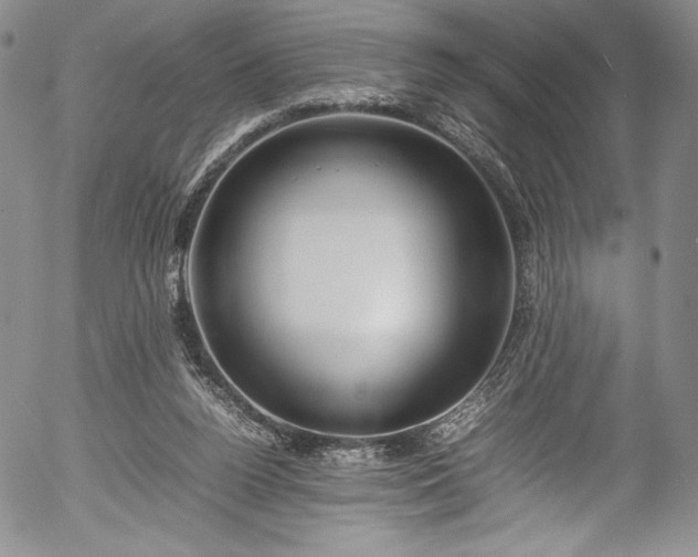 X0000054390160200508011302