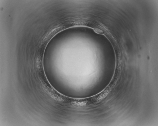 X0000054390161200508011302