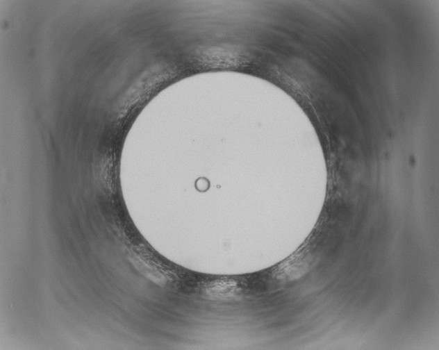 X0000054390162200508011302