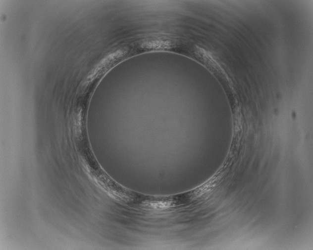 X0000054390163200508011302