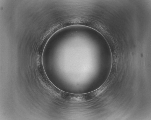 X0000054390164200508011302